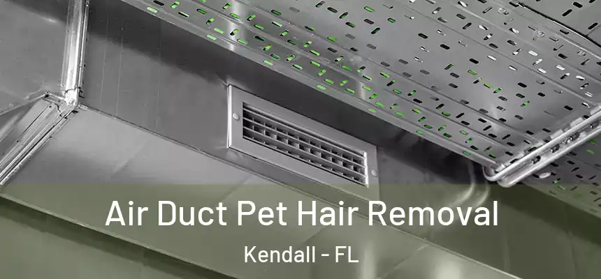 Air Duct Pet Hair Removal Kendall - FL