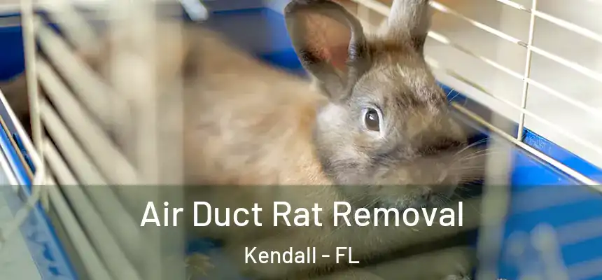  Air Duct Rat Removal Kendall - FL