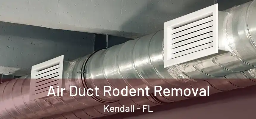  Air Duct Rodent Removal Kendall - FL