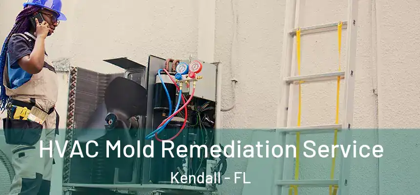  HVAC Mold Remediation Service Kendall - FL
