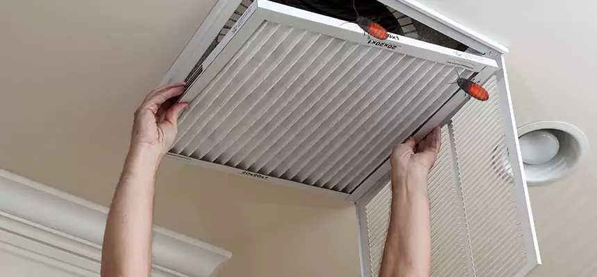 Preventive Cockroach-Proofing for Ducts in Kendall