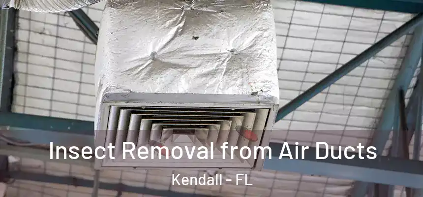  Insect Removal from Air Ducts Kendall - FL