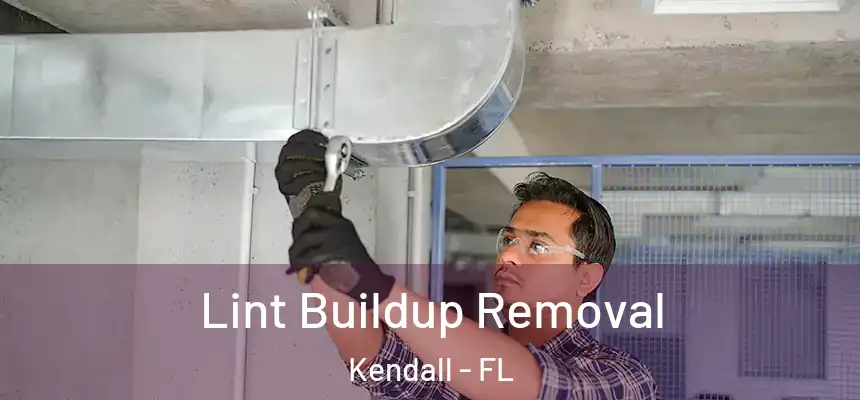  Lint Buildup Removal Kendall - FL