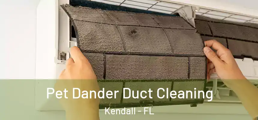  Pet Dander Duct Cleaning Kendall - FL