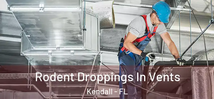  Rodent Droppings In Vents Kendall - FL