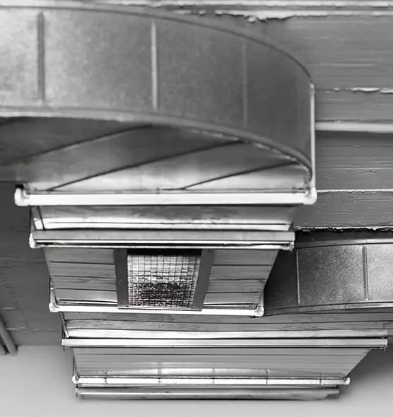 Professional Air Duct Pest Removal in Kendall, FL