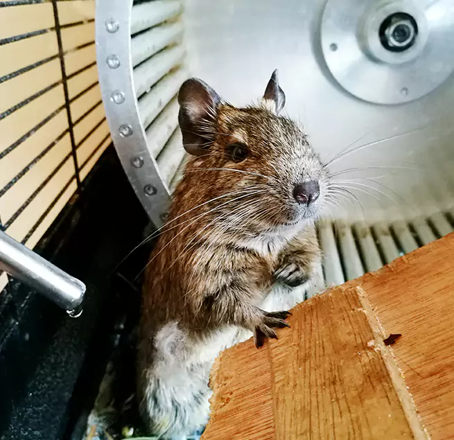 Why Homeowners & Businesses Trust Us Kendall, FL