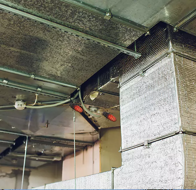 Why Homeowners & Businesses Trust Us Kendall, FL?