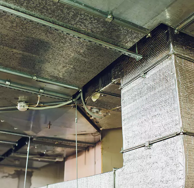 Why Homeowners & Businesses Trust Us in Kendall, FL?